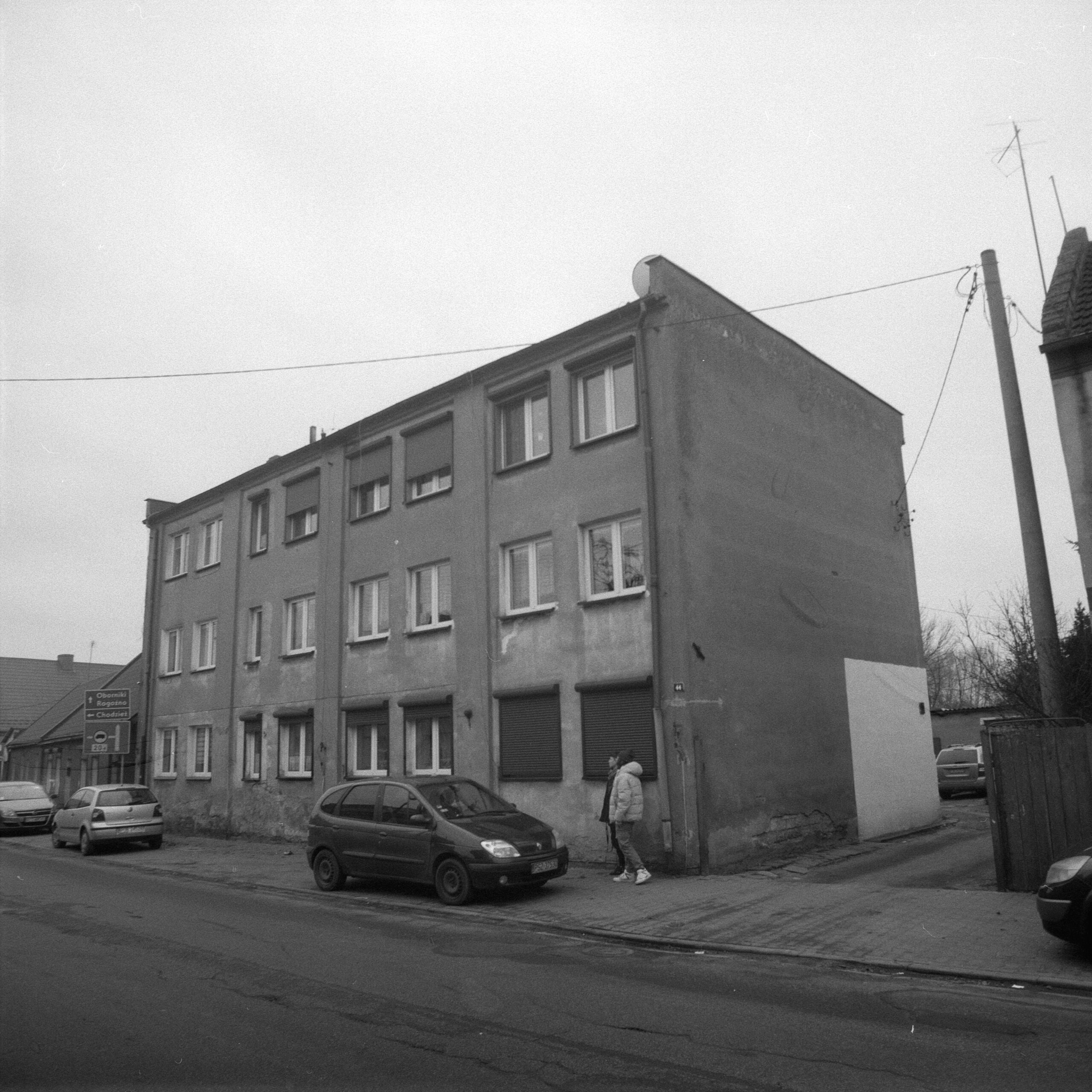 Ryczywół