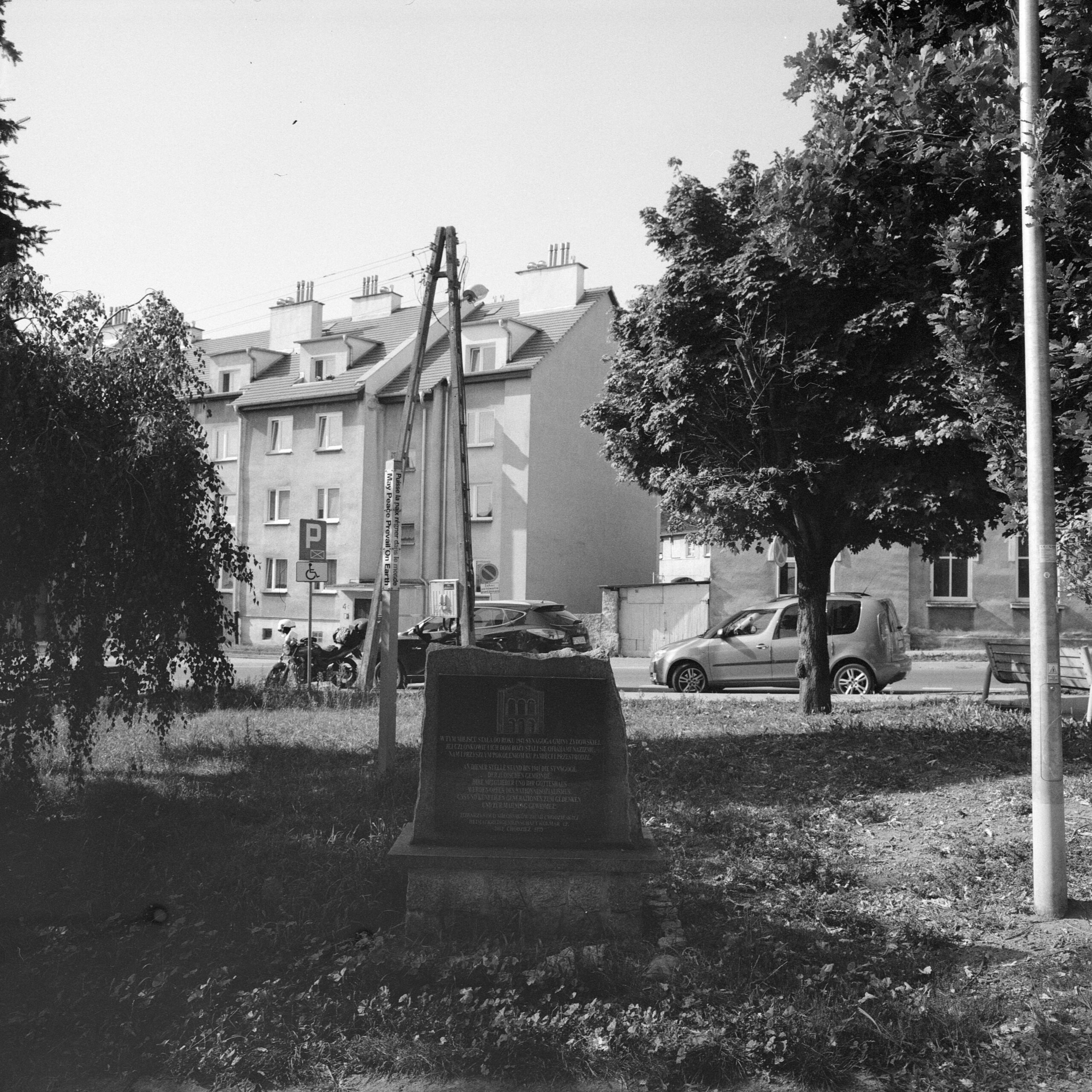 Chodzież